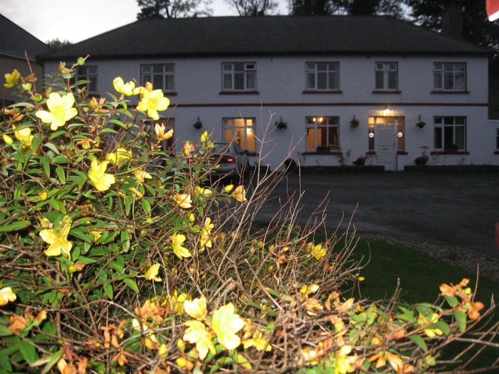 Woodlawn House Hotell Killarney Eksteriør bilde