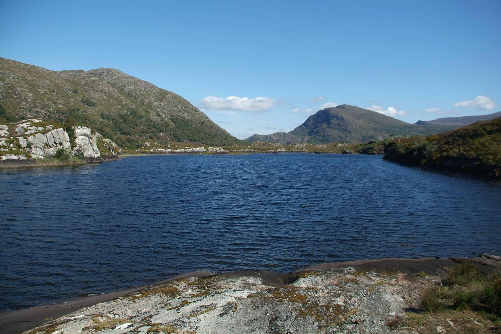 Woodlawn House Hotell Killarney Eksteriør bilde